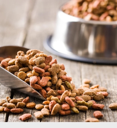 Animal and Pet Foods